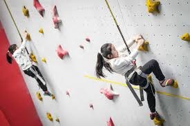 中国足坛2025赛季大结局：海港中超夺冠，国安收获足协杯