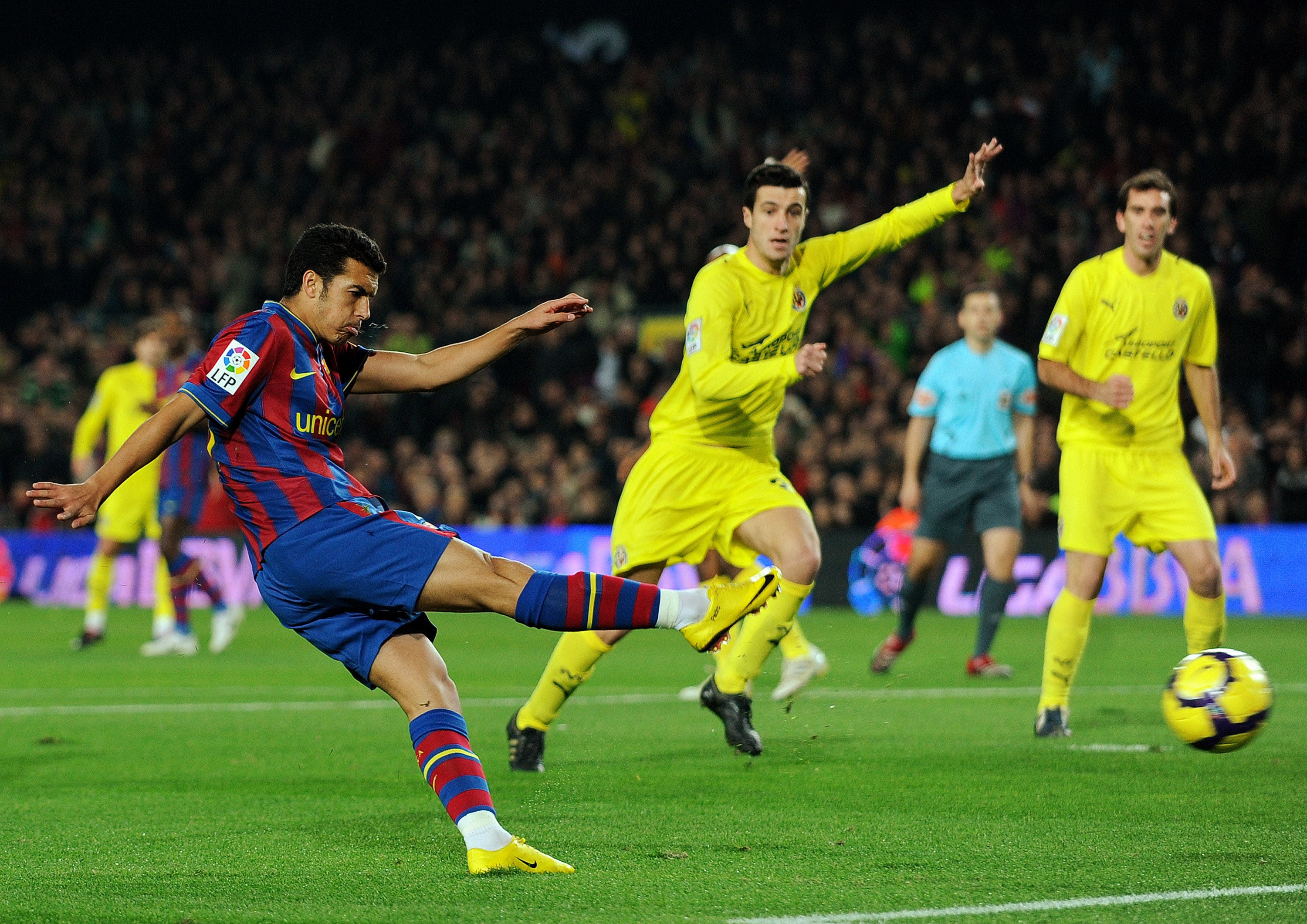 与板凳球员 与板凳球员