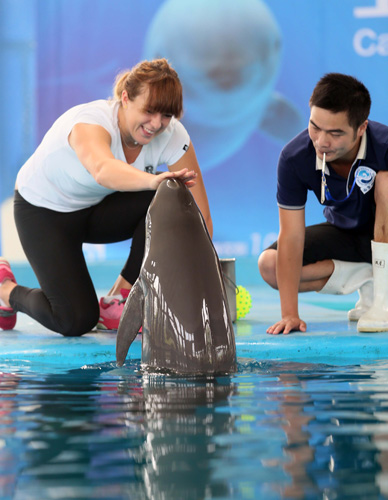 前公牛队传 前公牛队传